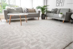 Pet Friendly Floors | Nadine Floor Company