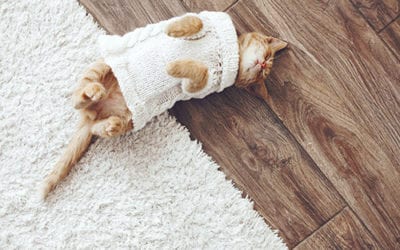 Engineered wood flooring types