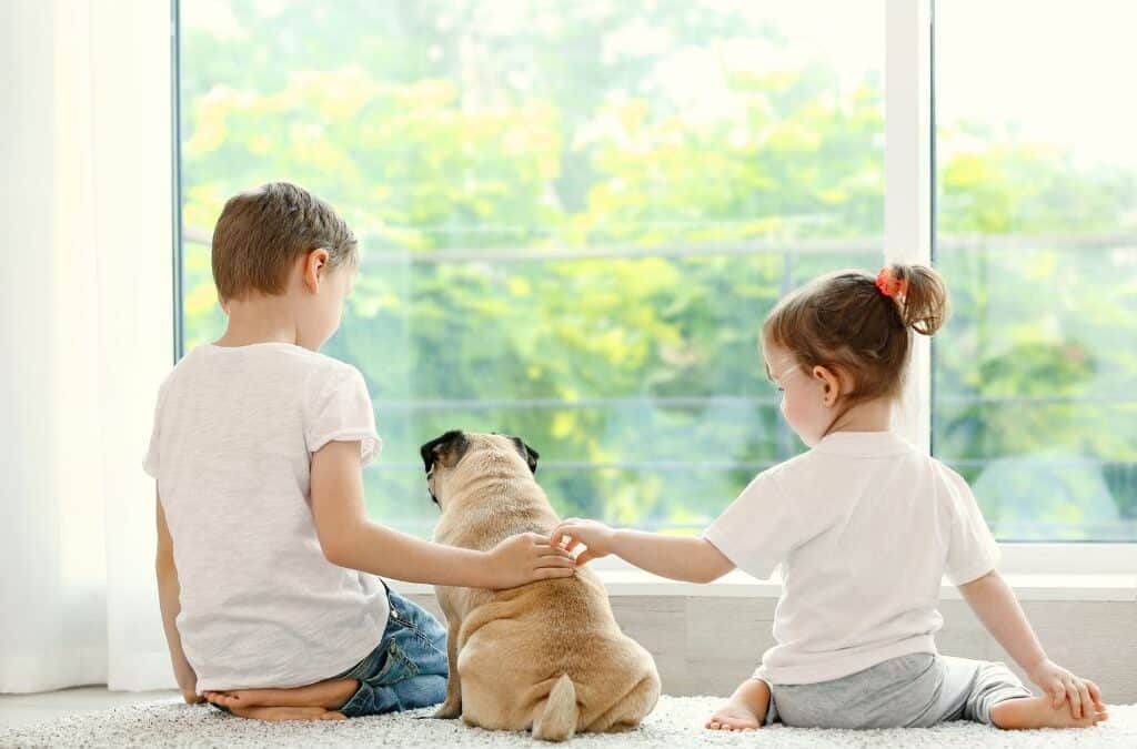 6 Ways to Make A Pet Friendly Home