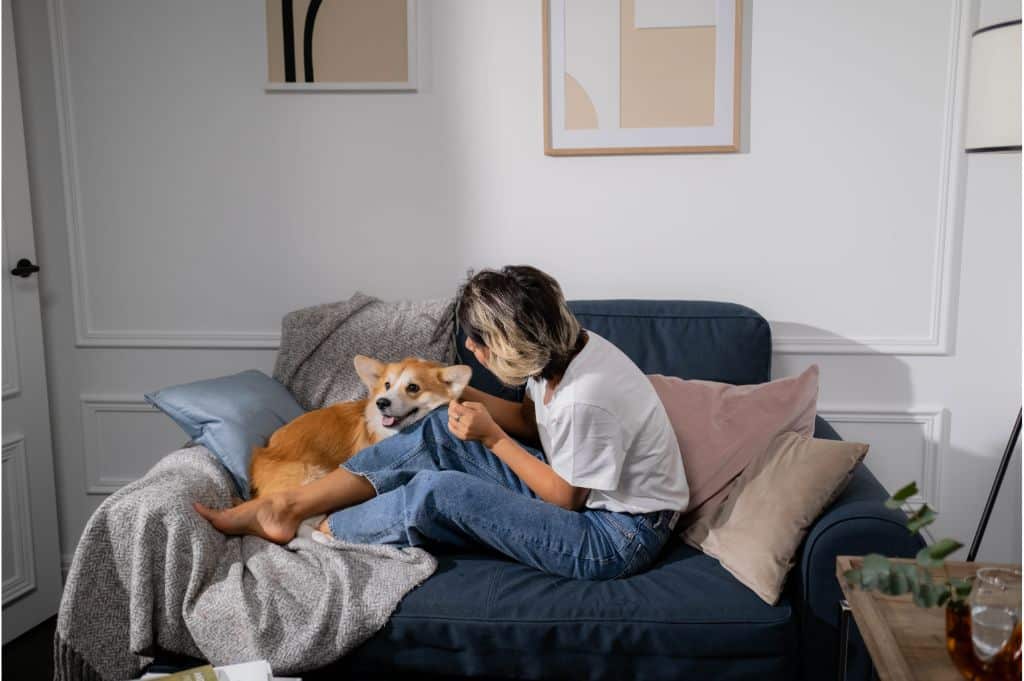 6 Ways to Make A Pet Friendly Home | Nadine Floors Company