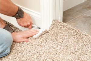 Best Carpet for Your Home | Nadine Floor Company