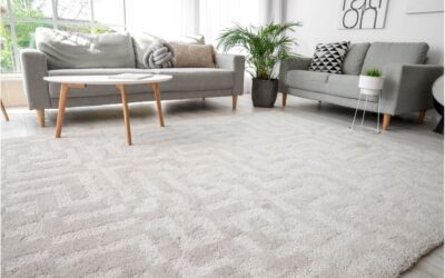 Affordable and Versatile: A Comprehensive Guide to Carpet Tiles
