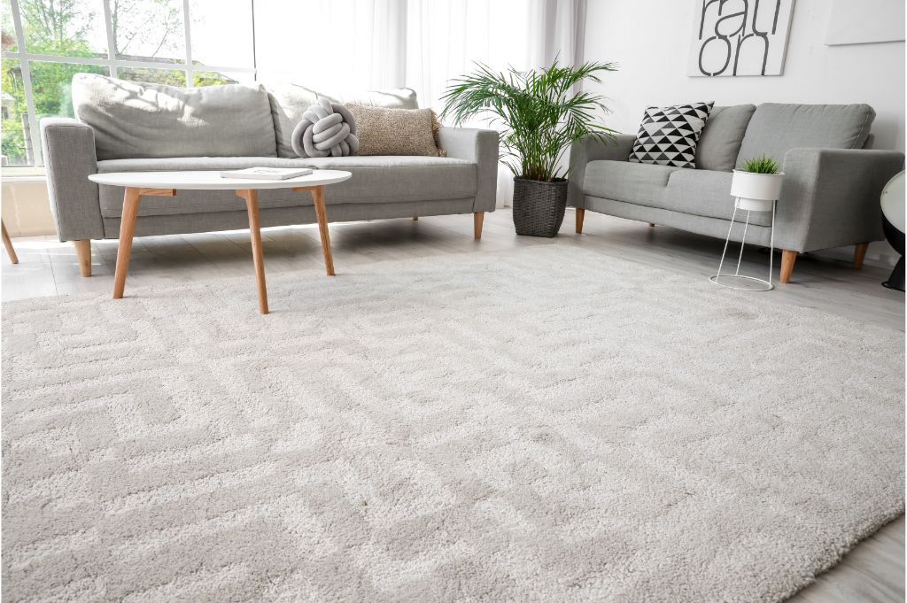 The Complete Guide To Carpet Floors - Nadine Floors Company  