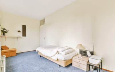 5 Questions You’re Afraid To Ask Your Carpet Experts