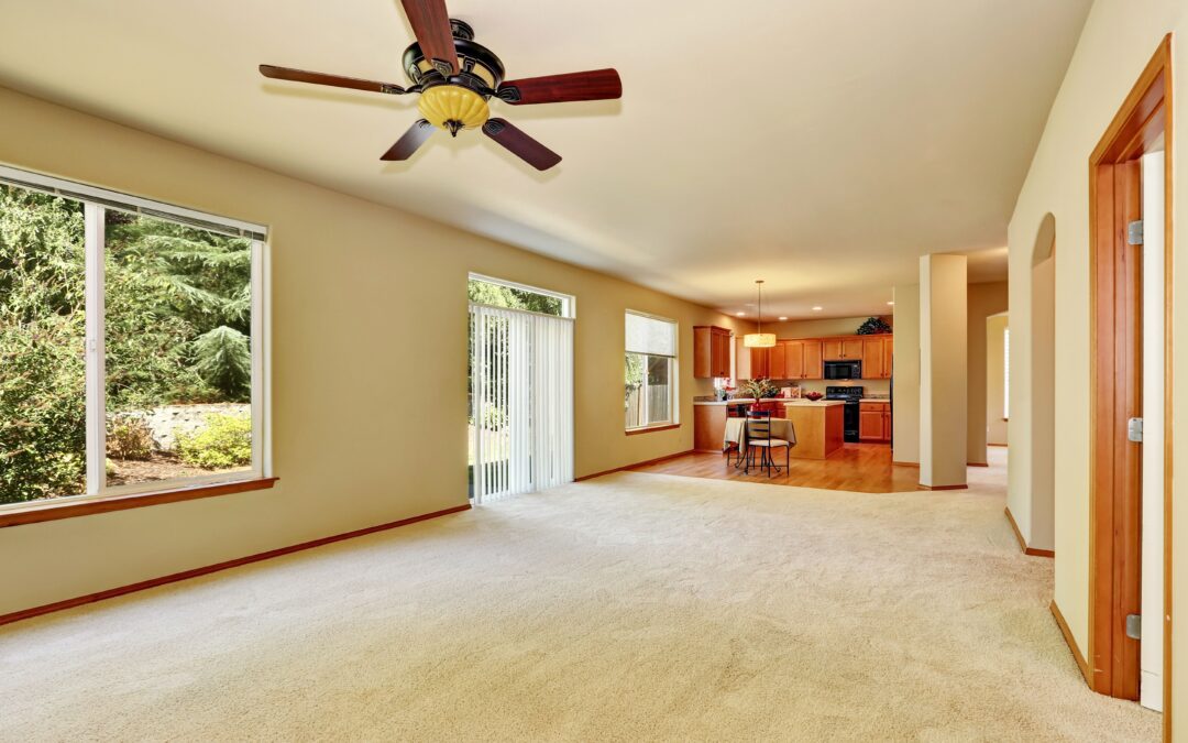 Carpet Experts | 5 Questions You're Afraid To Ask